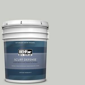 BEHR DYNASTY 1 qt. #PWL-89 Silver Setting Matte Interior Stain-Blocking ...