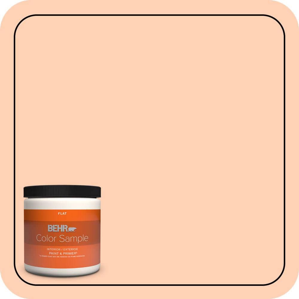 8 oz. #P200-2A Hug Goodbye Flat Interior/Exterior Paint & Primer Color Sample price history on PriceWatchPro