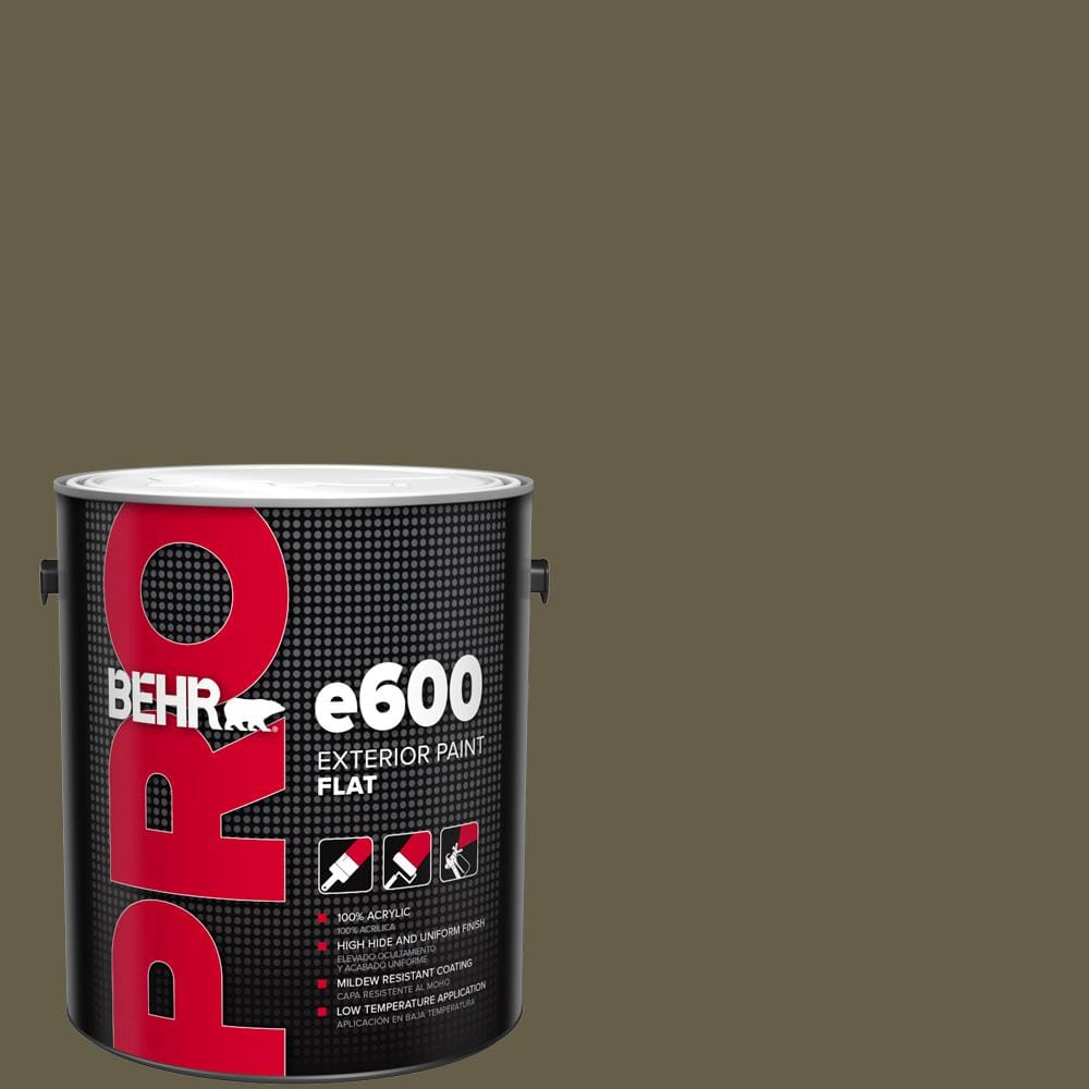 1 gal. #HDC-FL13-9 Squirrels Nest Flat Exterior Paint price history on PriceWatchPro