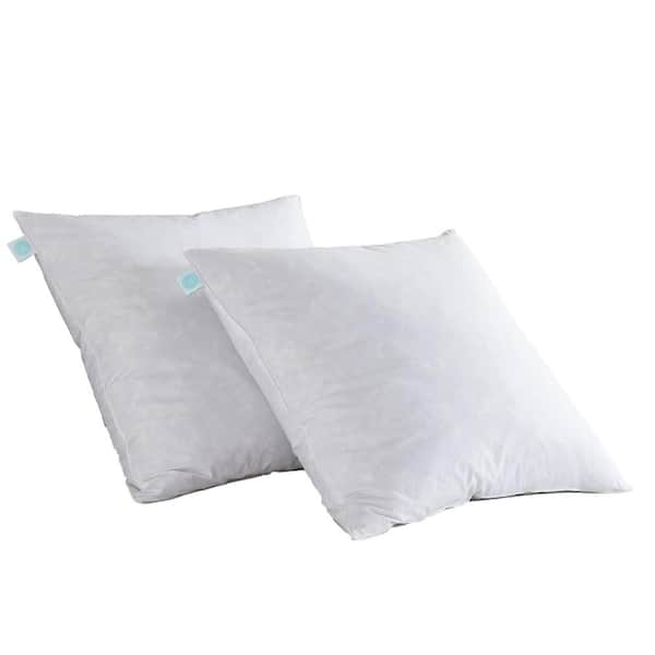 Set Of 2 Martha Stewart Decorative Accent Bed Pillows •Square And