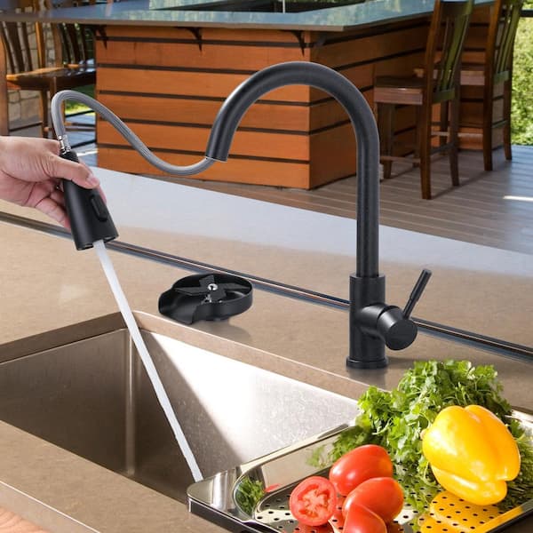 Single Handle Pull Down Sprayer Kitchen Faucet with Glass Rinser in Matte Black
