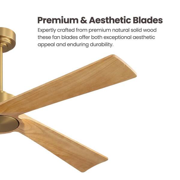 MLiAN 54 in. 4-Soild Wood Blades Indoor Standard Ceiling Fan with