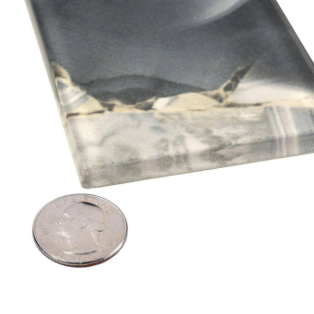Carnelian 3" x 12" Glossy Gray Glass Subway Tile