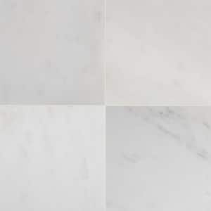 Take Home Tile Sample - Greecian White 12 in. x 12 in. Polished Marble Floor and Wall Tile - 4 in. x 4 in
