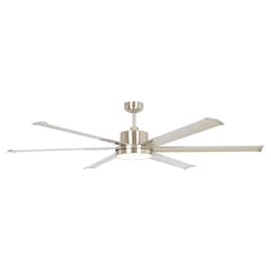 Balachandran 65 in. Indoor/Outdoor LED Brushed Nickel Down Rod Ceiling Fan with Light and Remote Control