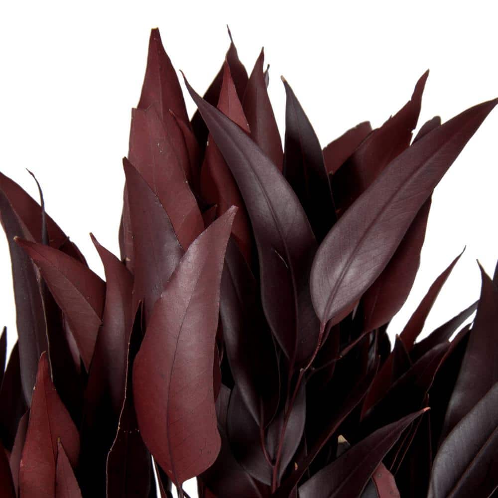 Elegant Red Eucalyptus Willow Centerpiece, 18" Preserved Bundle