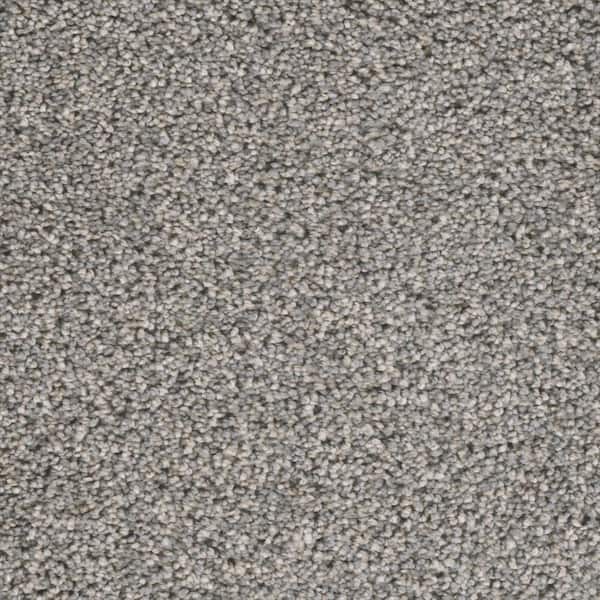 Home Decorators Collection Fall Skies I  - County Fair - Gray 48 oz. SD Polyester Texture Installed Carpet