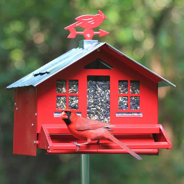 Squirrel-Be-Gone II Country Style Squirrel Resistant Metal Wild Bird Feeder - 8 lb. Capacity