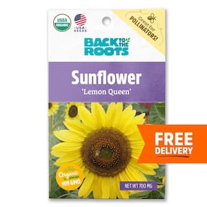 Organic Lemon Queen Sunflower Seed (1-Pack)