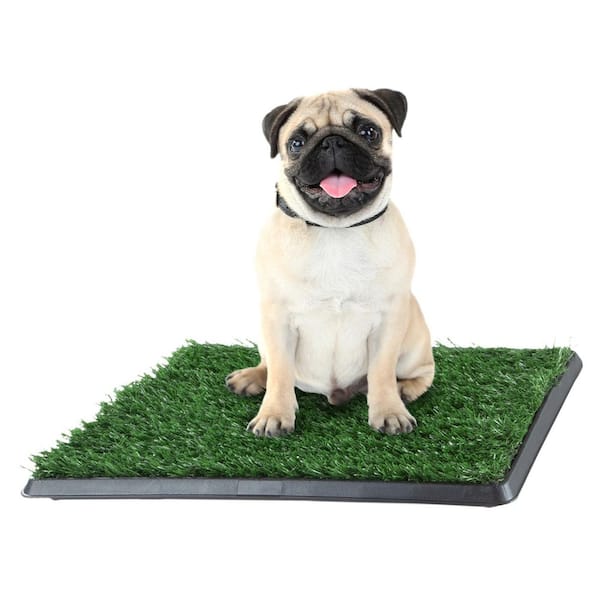 PAW Puppy Potty Trainer the Indoor Restroom for Small Pets
