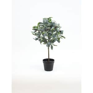 24 inch Green, Artificial Olive Tree in Black Drop In Pot
