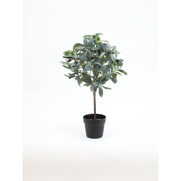 Unbranded 24 inch Green, Artificial Olive Tree in Black Drop In Pot