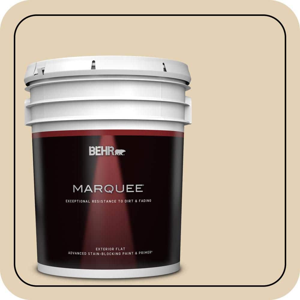 5 gal. #N290-3 Comfy Beige Flat Exterior Paint & Primer price history on PriceWatchPro