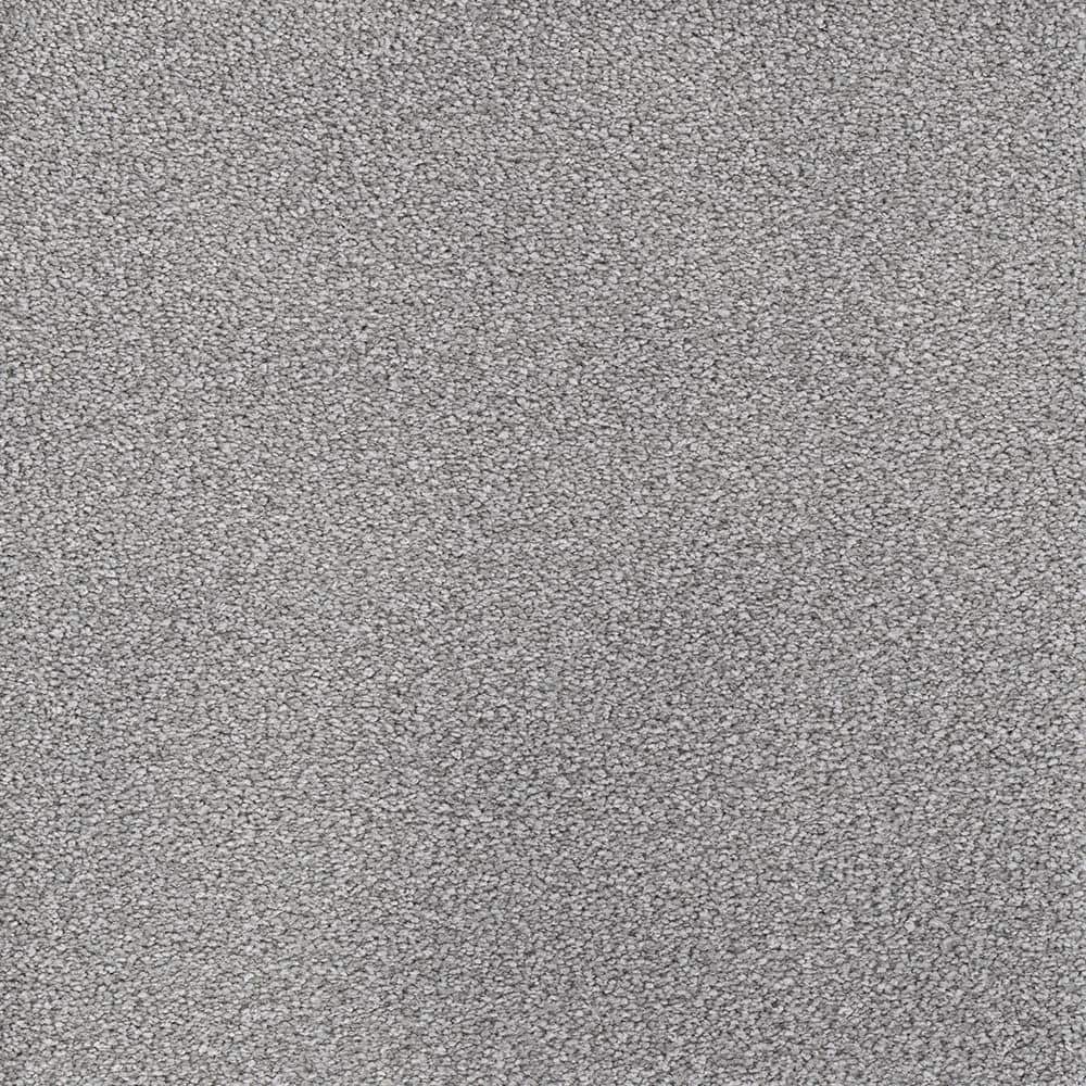 home-decorators-collection-8-in-x-8-in-texture-carpet-sample