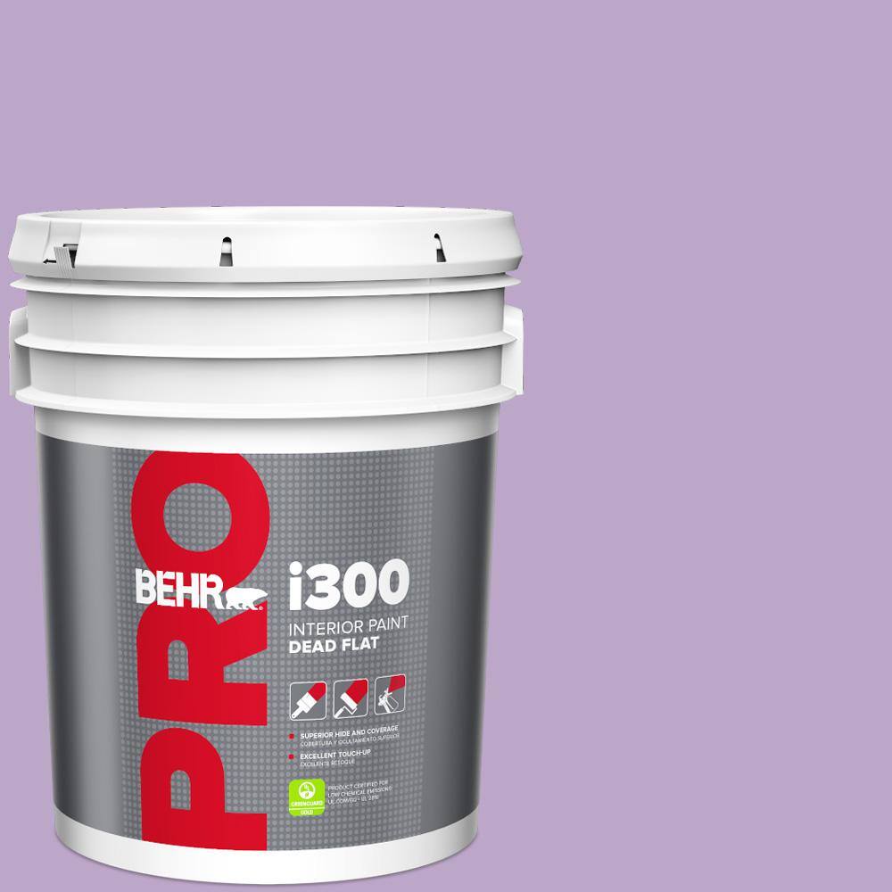 5 gal. #M570-4 Cyber Grape Dead Flat Interior Paint price history on PriceWatchPro