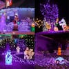 purple-ahfiwaso-string-lights-27csa17123-fa.5