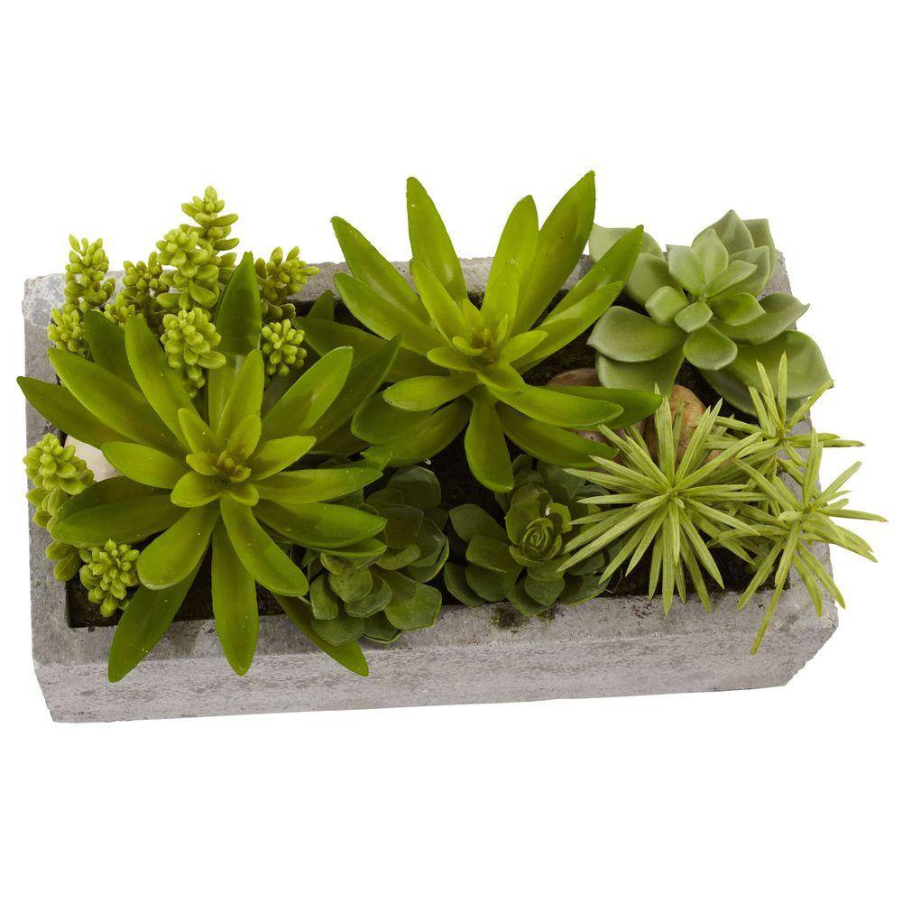 Decorative Outdoor Tabletop Succulent Ensemble in Cement Planter
