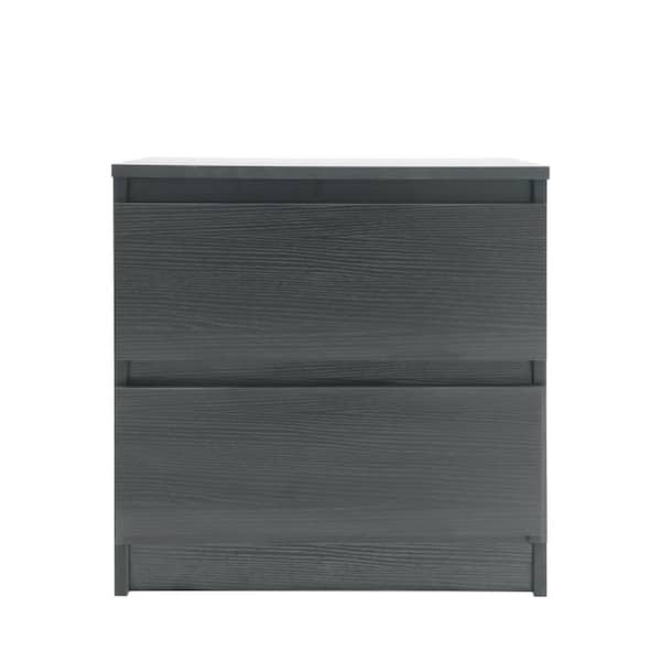 Kahomvis 2-Drawer Black Chest of-Drawers (19.68 in. H x 19.68 in. W x 15.74 in. D)