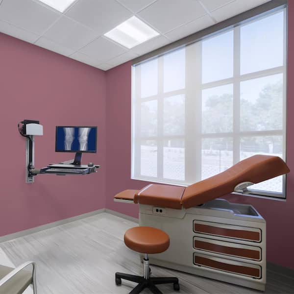 1 gal. #100D-7 Maroon Dead Flat Interior Paint