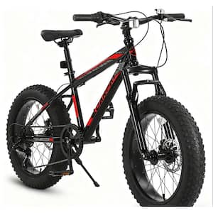 20 in. Teenagers' Bike 7 Speed Mountain Bike with Wide Fat