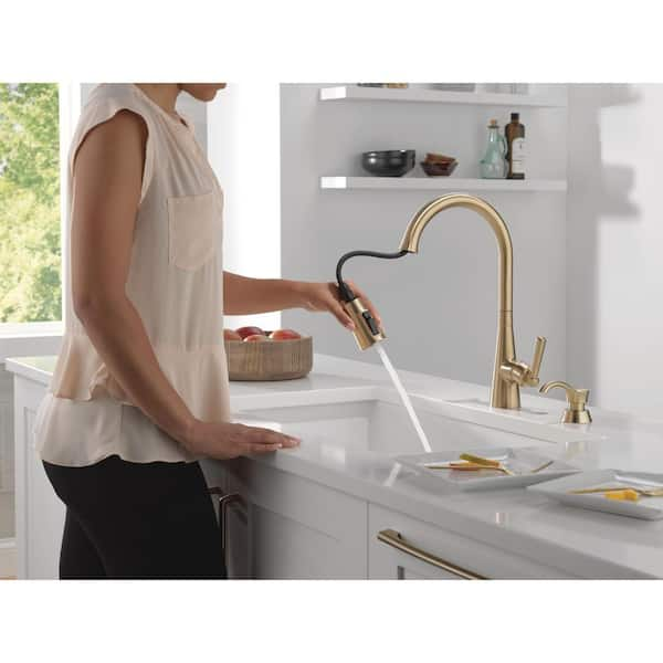 Boyd Gold Single Handle Pull Down Sprayer Kitchen Faucet with ShieldSpray Technology in Champagne Bronze