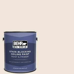 1 gal. #HDC-MD-11 Exclusive Ivory Ceiling Flat Interior Paint and Primer