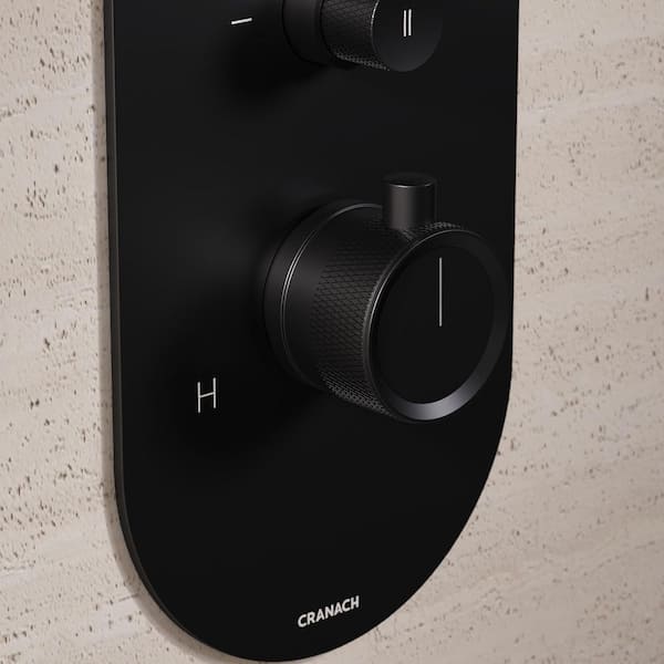 Angelsey 2-Spray 12 in. Wall Mount Dual Shower Head Handheld Shower Head 1.8 GPM in Matte Black (Valve Included)