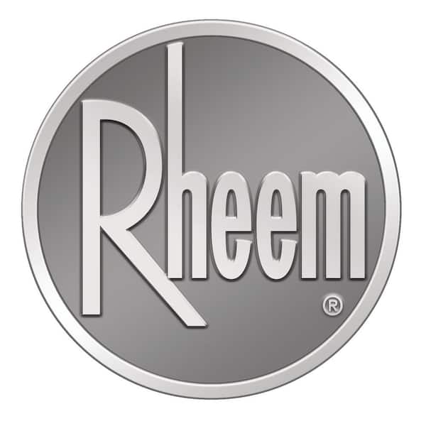 Rheem Residential Wired Main Remote Control for Tankless Gas Water Heaters  RTG20006DW - The Home Depot