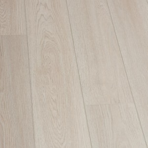 MSI Take Home Tile Sample - Modena Natural Beige 4 in. x 4 in. Matte  Porcelain Floor and Wall Tile NHDMODNAT9X47 - The Home Depot