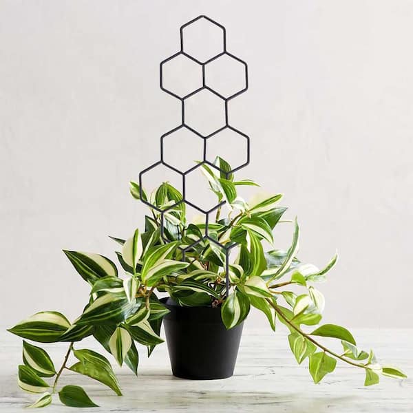 .N/A 15.94 in. Metal Honeycomb Plant Trellis for Climbing Plants Indoor Outdoor 2-Pack