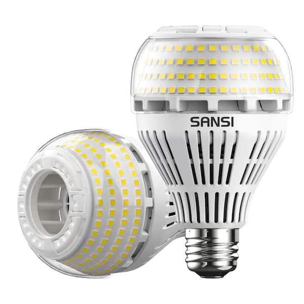 pijnlijk maatschappij nevel 250-Watt Equivalent A21 Non-Dimmable 270° Omni-Directional LED Light Bulb  Daylight in 5000K (2-Pack) 01-02-001-012750 - The Home Depot