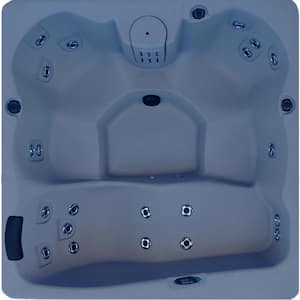 5-Person 22-Jet Plug and Play Laguna Spa Hot Tub with Hard Top Cover