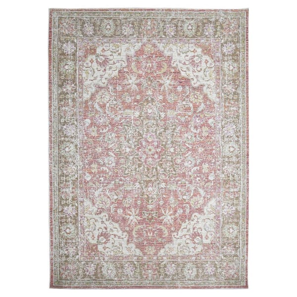 Century 4 ft. X 6 ft. Coral Pink Oriental, Medallion, Border Area Rug