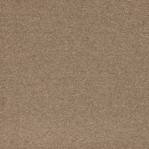 24 in. x 24 in. Texture Carpet - Advance -Color Espresso