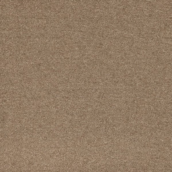 Mohawk 24 in. x 24 in. Texture Carpet - Advance -Color Espresso