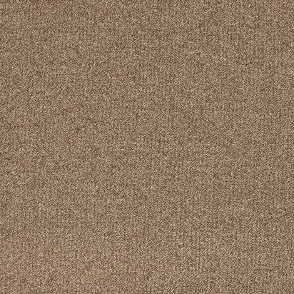 Mohawk 8 in. x 8 in. Level Loop Carpet Sample - Advance -Color ...