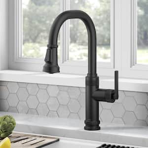 Allyn Industrial Pull-Down Single Handle Kitchen Faucet in Matte Black