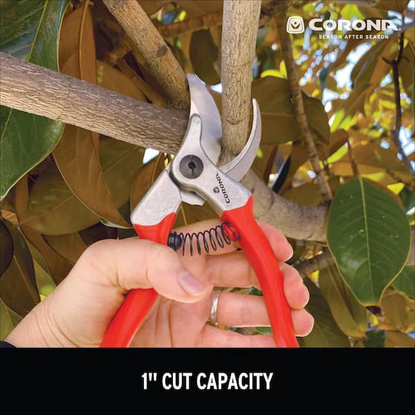 ZENPORT:Zenport 2.25 in. Coated Carbon Steel Extra-Long Handle Professional  Bypass Pruning Shear QZ413 - The Home Depot