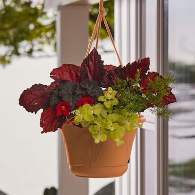 Hanging Planters Planters The Home Depot