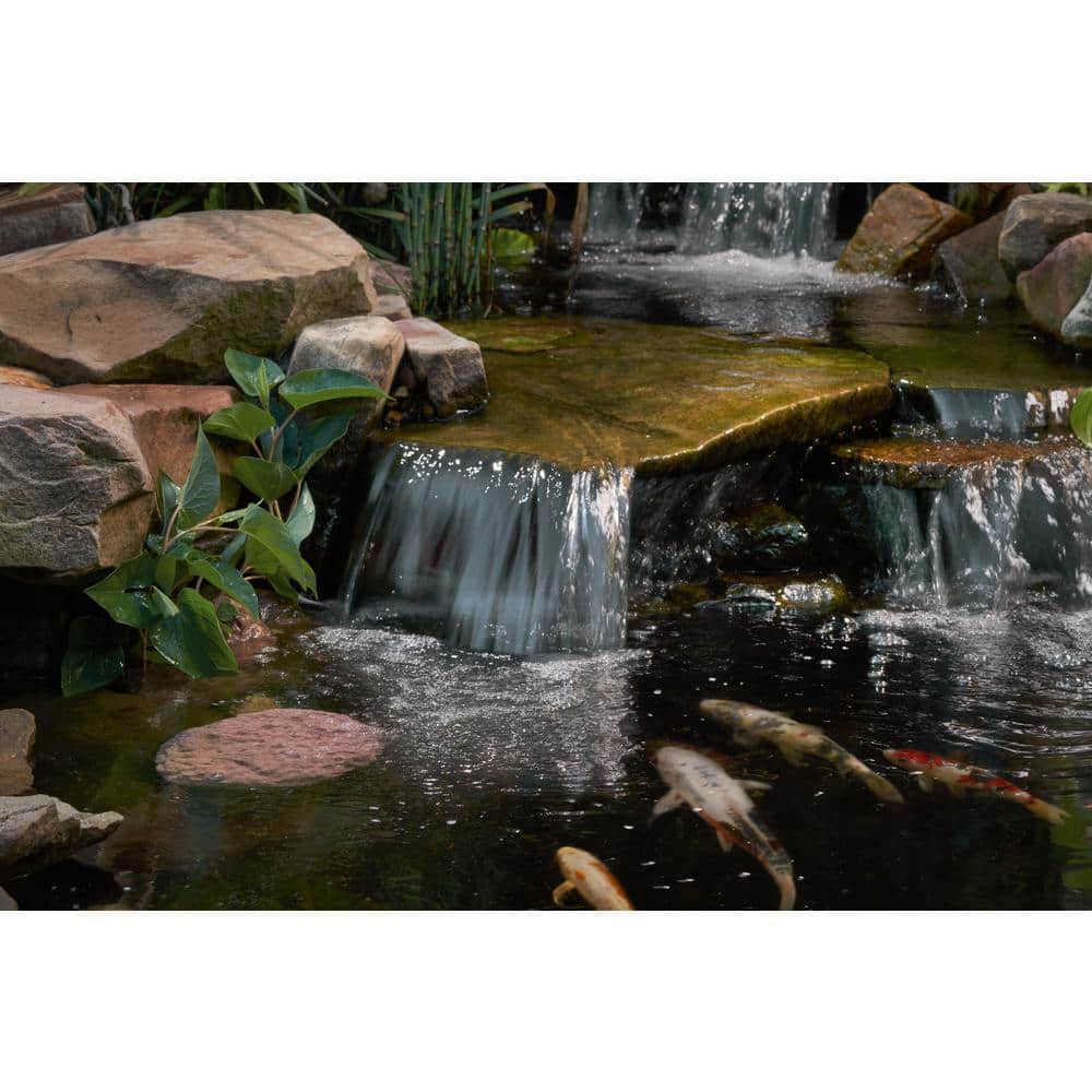 Large Nano-Porous Pink Pond Clarifier Rock