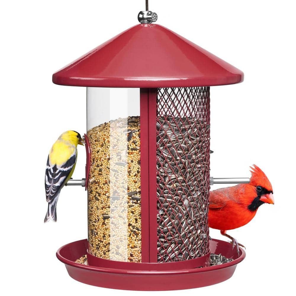 Comfortable Red Metal Hanging Multiple Bird Species Seed Feeder - 4 lbs. 1-