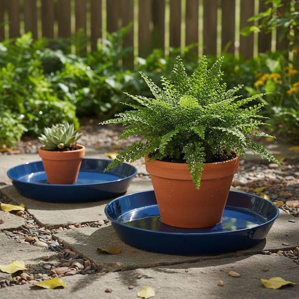 2 Pack 8 Inch Ceramic Plant Saucer YNLIN379 - The Home Depot