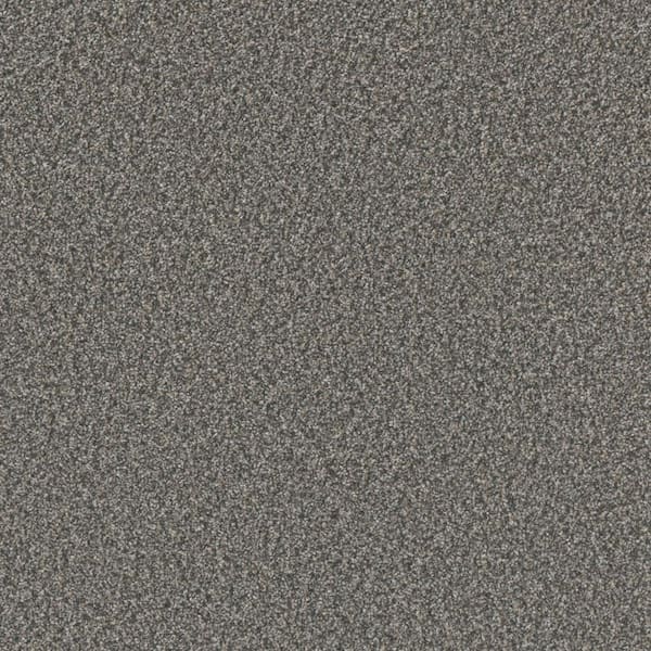 Home Decorators Collection Gentle Glimmer III-Wink Brown-70 oz. SD Polyester Texture Installed Carpet