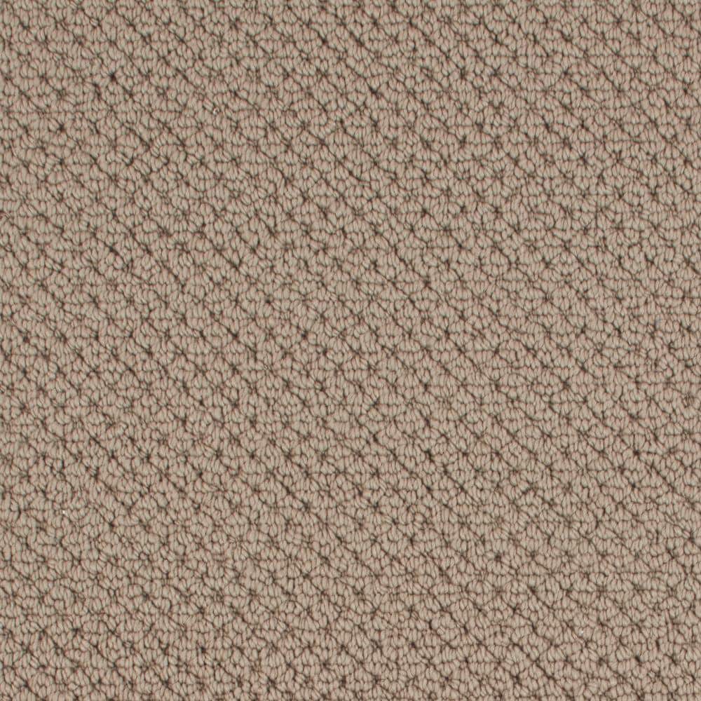 8 in. x 8 in. Pattern Carpet Sample - Abbotts Gate -Color Desert Storm price history on PriceWatchPro