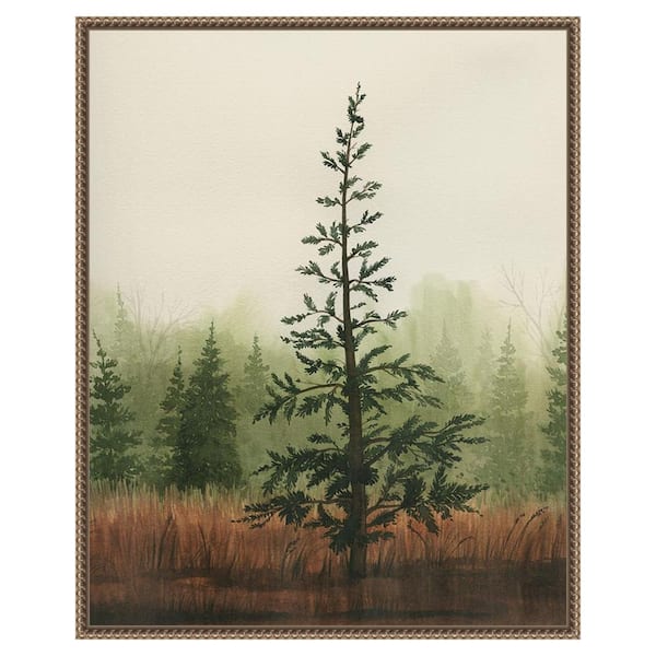 Amanti Art Young Evergreen II by Grace Popp 23-in. W x 28-in. H. Canvas Wall Art Print Framed in Bronze