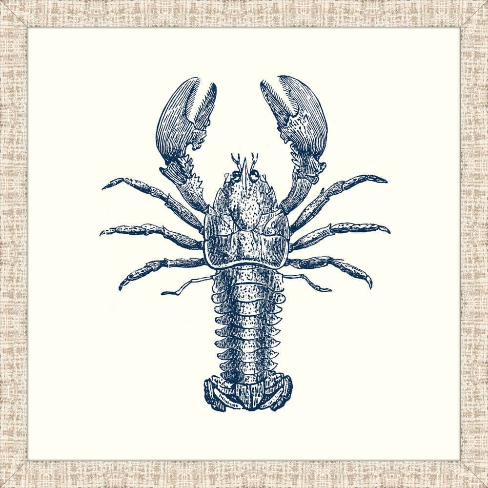 Melissa Van Hise 31 in. x 31 in. "Lobster Blue" Framed Giclee Print Wall Art HDIP14619 - Home