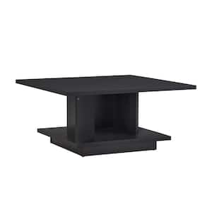 Boa Vista 31 in. Black Square MDF Coffee Table with 1-Shelf and Hidden Cabinet