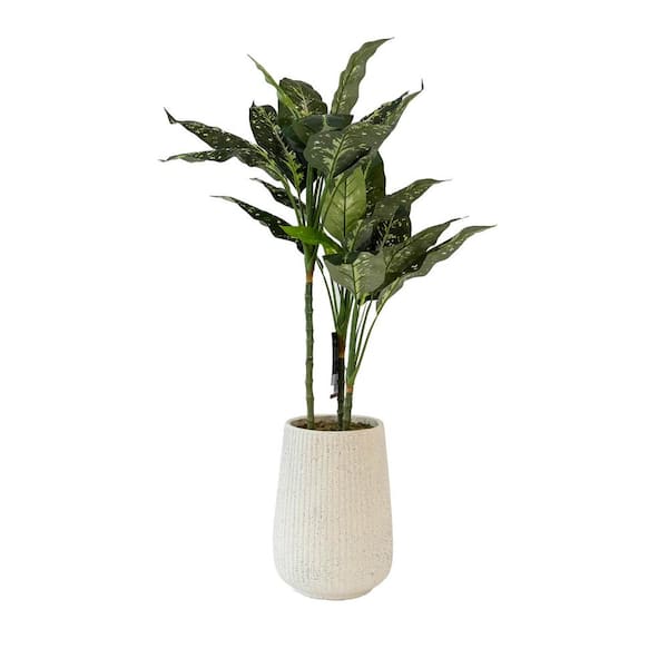 Unbranded Botaneeka 57 .09 in. Artificial Evergreen Tree Dieffenbachia and Fiberclay Pot Set