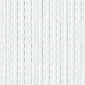 Dymo Chex 12 in. x 24 in. Glossy Ceramic Wall Tile (16 sq. ft./Case)