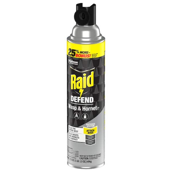 Raid Spray Wasp and Hornet Killer 17.5 oz